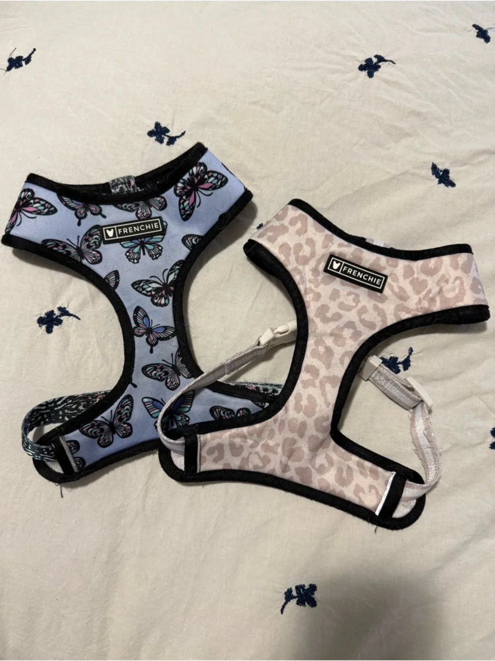 Two frenchie Harness bundle